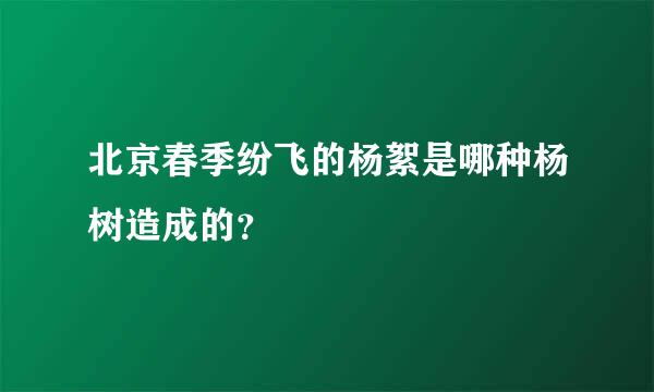 北京春季纷飞的杨絮是哪种杨树造成的？