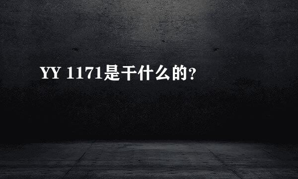 YY 1171是干什么的？