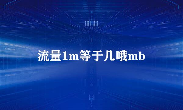 流量1m等于几哦mb