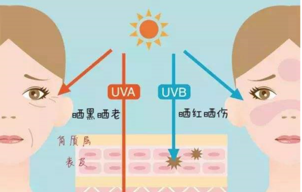 请问防晒霜上写的UVA/UVB是什么意思？