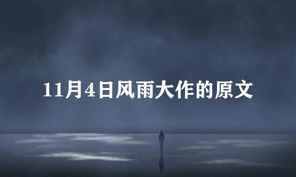 11月4日风雨大作的原文