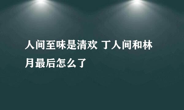 人间至味是清欢 丁人间和林月最后怎么了