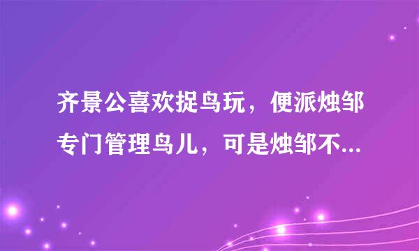 齐景公喜欢捉鸟玩，便派烛邹专门管理鸟儿，可是烛邹不慎让鸟飞逃了。景公大为恼火，下令杀死他。晏子说：“烛邹有三条罪状，让我数落他一番。然后再杀，让他死个明白。”