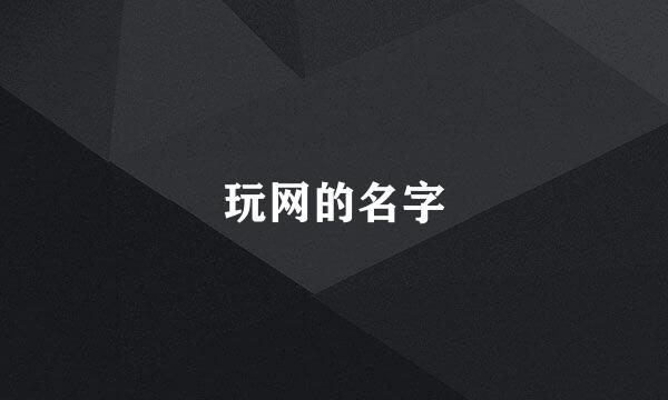 玩网的名字