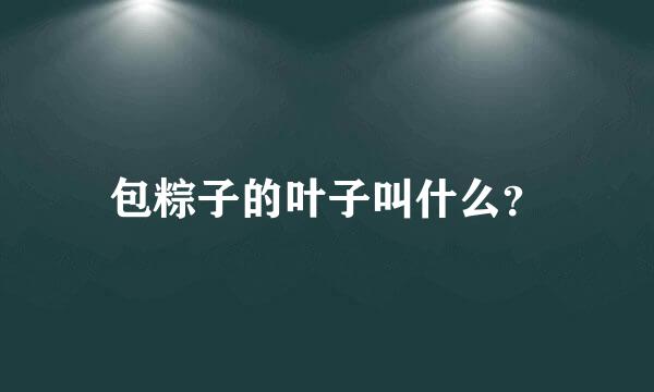 包粽子的叶子叫什么？