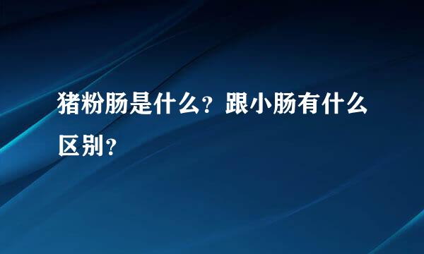 猪粉肠是什么？跟小肠有什么区别？