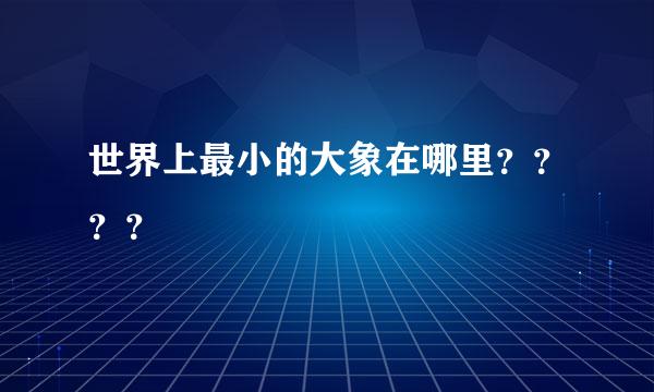 世界上最小的大象在哪里？？？？