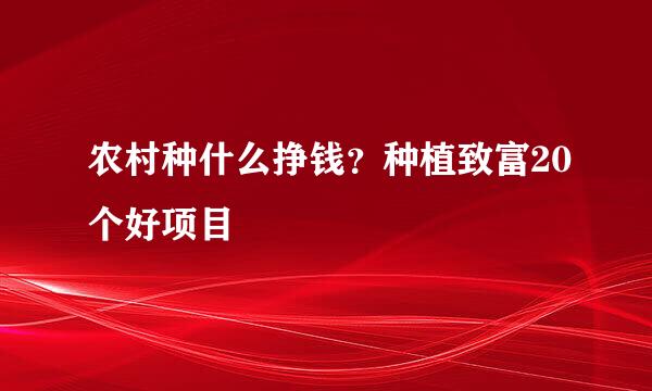 农村种什么挣钱？种植致富20个好项目