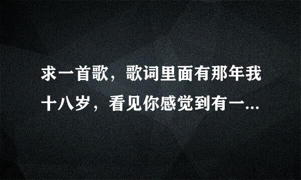 求一首歌，歌词里面有那年我十八岁，看见你感觉到有一点心跳。开始是独自什么，然后最后一句是就这样吧！