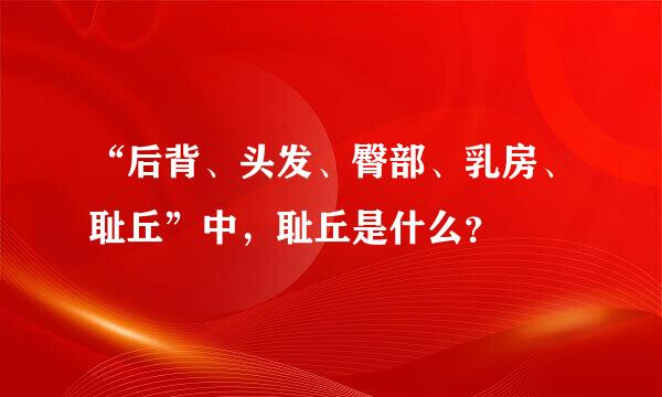 “后背、头发、臀部、乳房、耻丘”中，耻丘是什么？