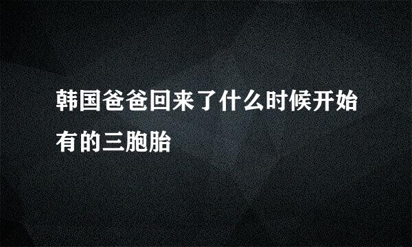 韩国爸爸回来了什么时候开始有的三胞胎