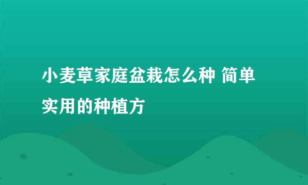 小麦草家庭盆栽怎么种 简单实用的种植方