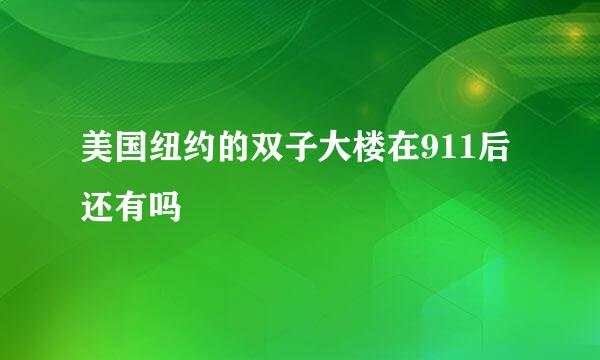 美国纽约的双子大楼在911后还有吗