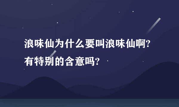 浪味仙为什么要叫浪味仙啊?有特别的含意吗?