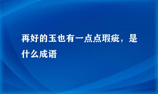 再好的玉也有一点点瑕疵，是什么成语