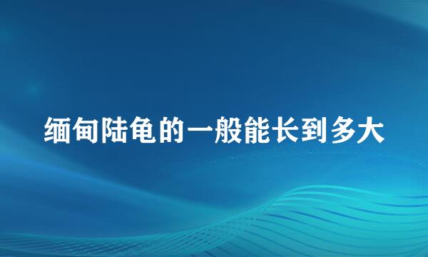 缅甸陆龟的一般能长到多大