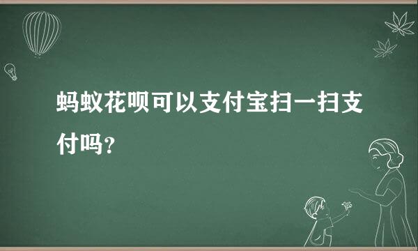 蚂蚁花呗可以支付宝扫一扫支付吗？