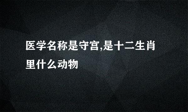 医学名称是守宫,是十二生肖里什么动物