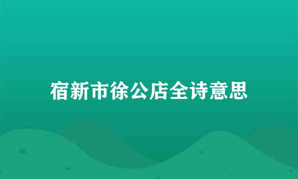 宿新市徐公店全诗意思