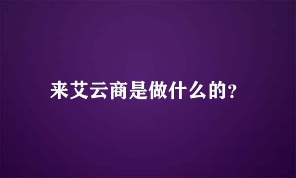 来艾云商是做什么的？