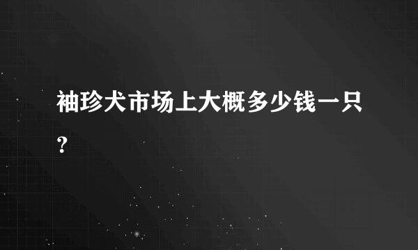 袖珍犬市场上大概多少钱一只？