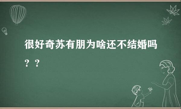 很好奇苏有朋为啥还不结婚吗？？