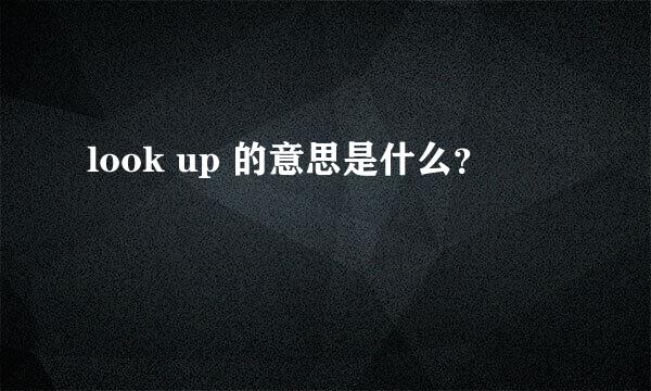 look up 的意思是什么？