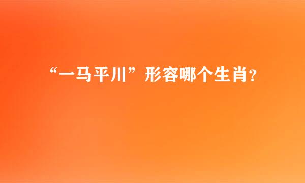 “一马平川”形容哪个生肖？