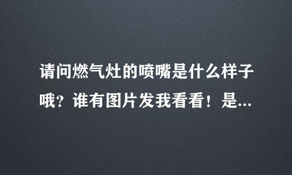 请问燃气灶的喷嘴是什么样子哦？谁有图片发我看看！是上面哪个员驼驼不？