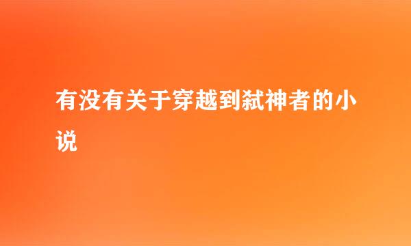 有没有关于穿越到弑神者的小说