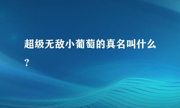 超级无敌小葡萄的真名叫什么？