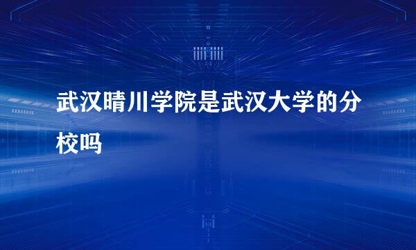 武汉晴川学院是武汉大学的分校吗