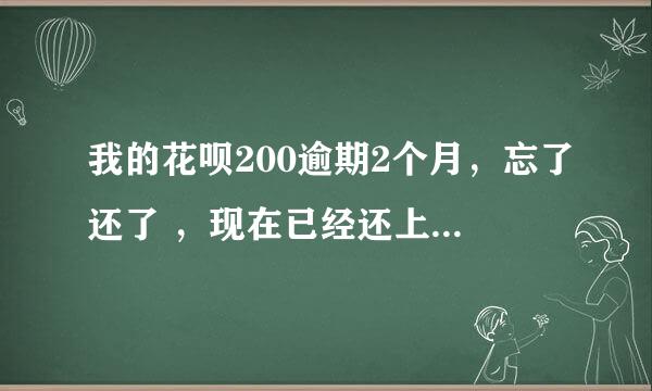 我的花呗200逾期2个月，忘了还了 ，现在已经还上了 ，但是不能用了 ，怎么才能恢复使用呢