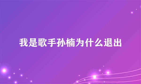 我是歌手孙楠为什么退出