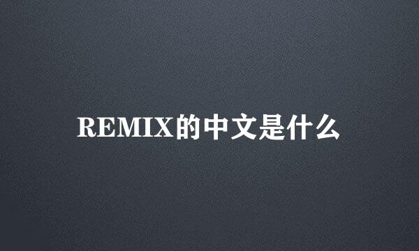 REMIX的中文是什么