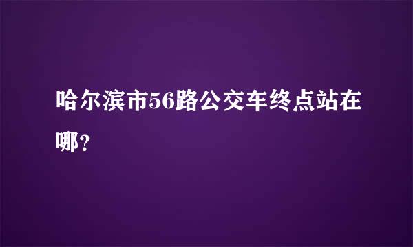 哈尔滨市56路公交车终点站在哪？