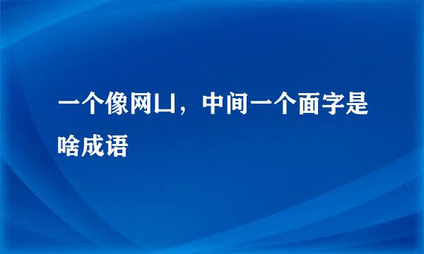 一个像网凵，中间一个面字是啥成语