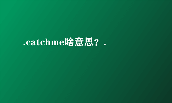 .catchme啥意思？.