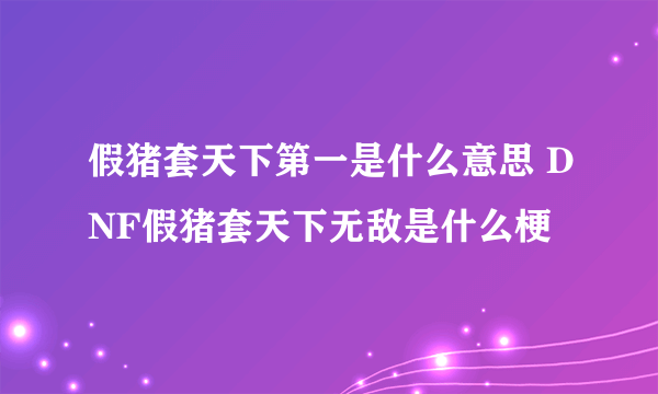 假猪套天下第一是什么意思 DNF假猪套天下无敌是什么梗