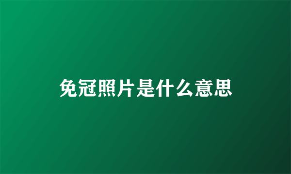 免冠照片是什么意思