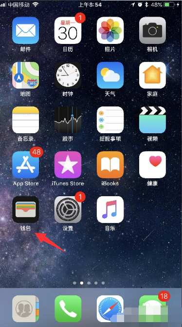 苹果手机上的apple pay是什么意思