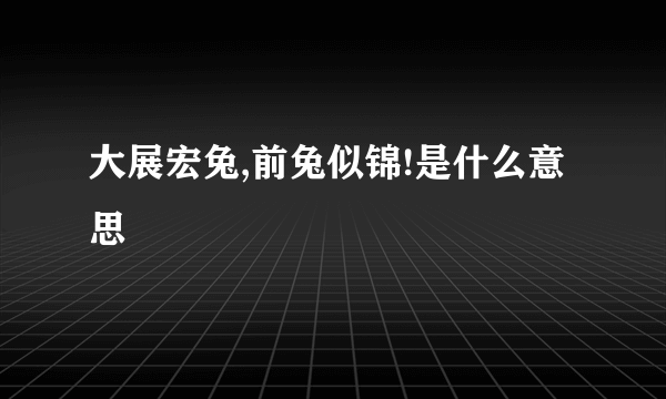 大展宏兔,前兔似锦!是什么意思