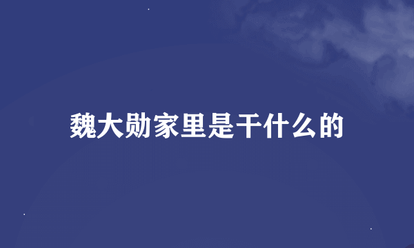 魏大勋家里是干什么的