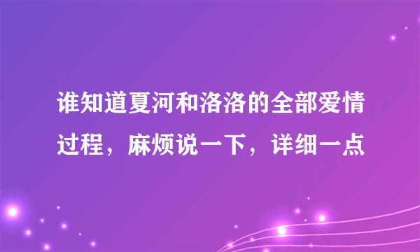 谁知道夏河和洛洛的全部爱情过程，麻烦说一下，详细一点