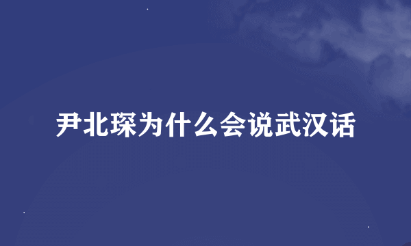 尹北琛为什么会说武汉话