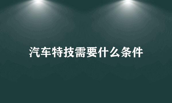 汽车特技需要什么条件