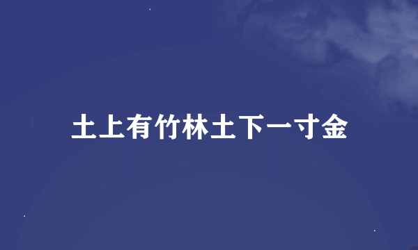 土上有竹林土下一寸金