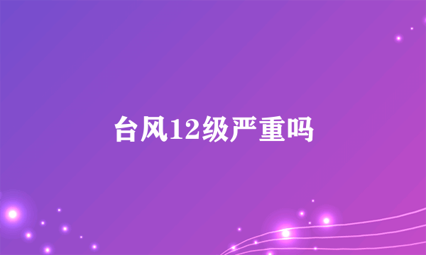 台风12级严重吗