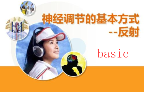 basic是什么意思