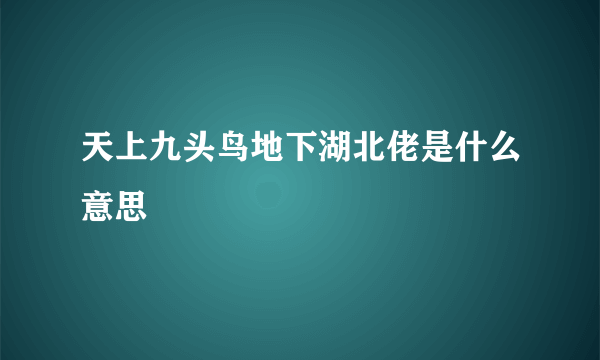 天上九头鸟地下湖北佬是什么意思